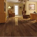 Acacia, Black Walnut 3