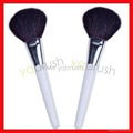 Powder brush