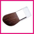 Blush Brush 2