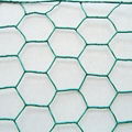 hexagonal wire mesh 3