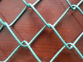 chain link fence 1