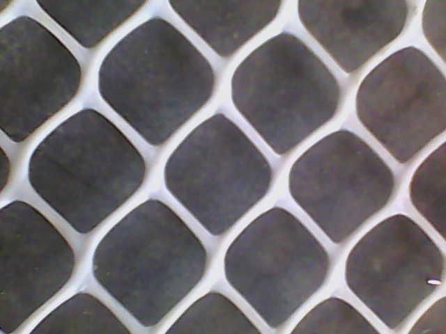 Plastic Netting