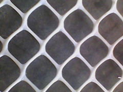 Plastic Netting