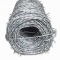 barbed wire 4