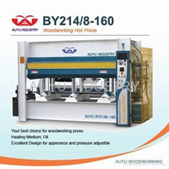 Decroation Veneer Press machine