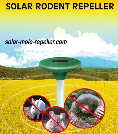 solar rodent repeller 