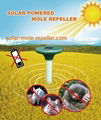 Solar Powered Mole Repeller 1