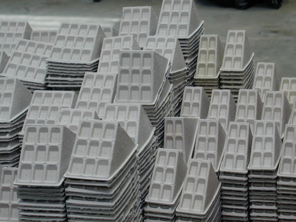 Molded Pulp Industry Packaging 5