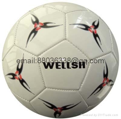 all kinds of soccer ball 2