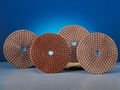 diamond polishing pad 2