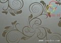 Etched Stainless Steel Sheet 3