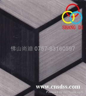 Colored Stainless Steel Etch Finish Plate 2
