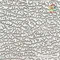 Decorative Stainless Steel Embossed Sheet 2