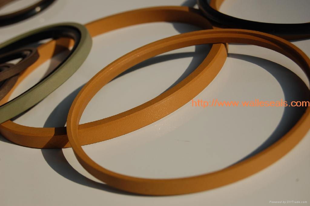 PTFE filled with Bronze Seal