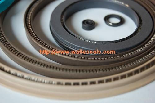 Spring energized seals