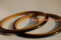 PTFE oil seal