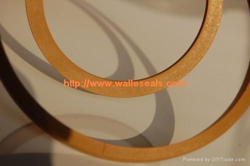 PTFE gasket