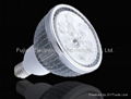 LED PAR light  1