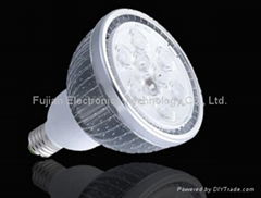 LED PAR light