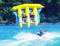 Water Trampoline/Water Game/Infltable Water(CYWG-02) 4