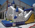 inflatable slide 5