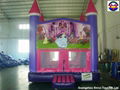 Inflatable Bounce House 5