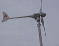 300W Wind Turbine 1