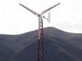 10KW Wind Turbine 1