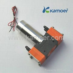 Mini liquid pump with brushless motor