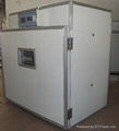 automatic egg incubator