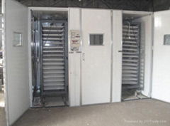 large model egg incubator, hatcher 