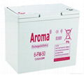 lead acid battery6-FM-50