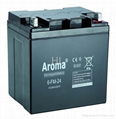 lead acid battery 6-FM-24(L)