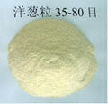 Dehydrated Onion Powder