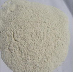 Dehydrated Garlic Powder