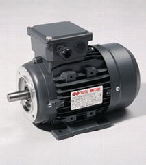 Ms Aluminium Electric Motor