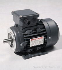 Y2 Cast Iron Electric Motor