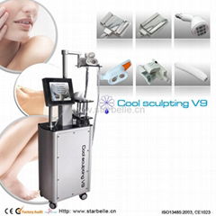 2012 Cryolipolysis Cavitation Laser Beauty Equipment  CE