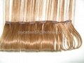 Clip-in Hair Extension