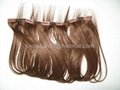Clip-in Hair Extension  3