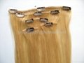 Clip-in Hair Extension  4