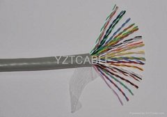 Indoor/Outdoor Telephone Cable