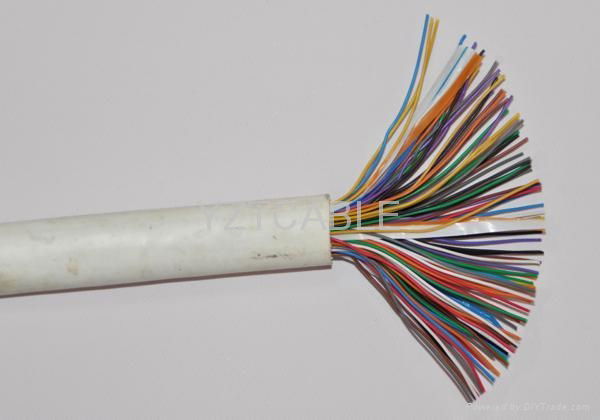 Indoor/Outdoor Telephone Cable 2
