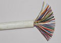 Indoor/Outdoor Telephone Cable 2