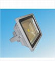 LED floodlight