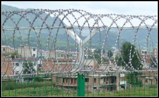 Razor barbed wire(Chinese manufacturer) 2