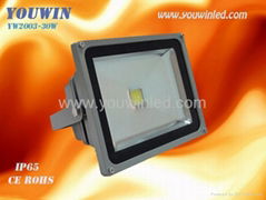 30Watt IP65 LED Flood Light for Billboard