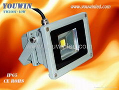 10W Cost-effective LED Flood Light