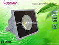 50W LED Floodlight