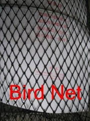 Anti-bird net